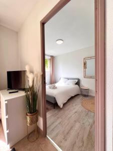 a bedroom with a bed and a mirror at Appartement 10 MIN de Disneyland Paris in Montévrain