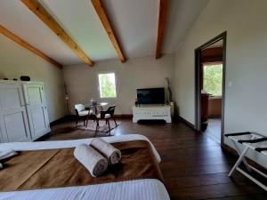a bedroom with a bed and a television and a table at Villa Alyzea in Bessan
