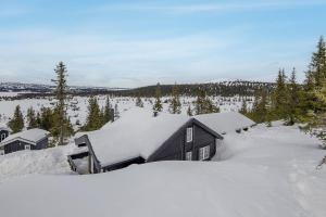 a house covered in snow with trees and a field at Holiday home in beautiful Sjusjøen, near Lillehammer in Ringsaker