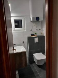 a small bathroom with a toilet and a sink at Apartman Marla in Sevid