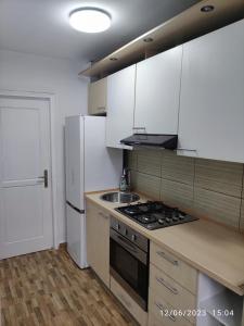 eine Küche mit einem Herd, einer Spüle und einem Kühlschrank in der Unterkunft Fabian central apartment in Bukarest
