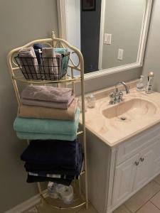 ein Badezimmer mit einem Handtuchhalter neben einem Waschbecken in der Unterkunft Reed Legacy, LLC Home in Newark