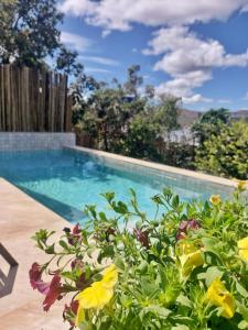 a swimming pool with flowers in the foreground at Statera Host in Alto Paraíso de Goiás