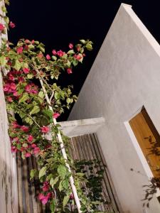a plant on the side of a building with pink flowers at Statera Host in Alto Paraíso de Goiás