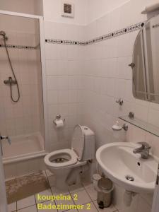 uma casa de banho com um WC e um lavatório em Apartment Mathis & MTB-garage em Jáchymov