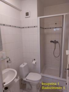 ein Bad mit einer Dusche, einem WC und einem Waschbecken in der Unterkunft Apartment Mathis & MTB-garage in Jáchymov