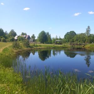 a small pond with a house in the background at Ventnieki 