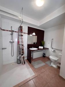 a bathroom with a shower and a toilet and a sink at Appartement DisneyLand Montevrain in Montévrain