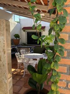 a patio with a table and chairs and a table and a plant at Casa Balam in Rincon de Guayabitos