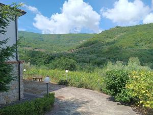 Gallery image of Affittacamere Aria in Sessa Cilento