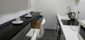 - une petite cuisine avec un comptoir noir et 2 plats dans l'établissement Vacational apartment, à Bottrop
