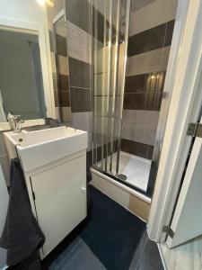 bagno con doccia, lavandino e doccia di Apartment Brussels 1 a Bruxelles