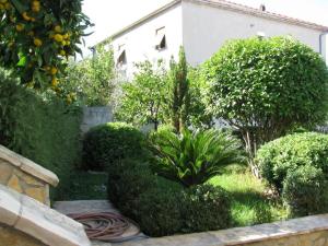 Ein Garten an der Unterkunft Apartments Marin
