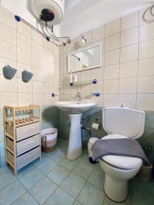 uma casa de banho com um WC e um lavatório em To Petrino em Meyisti