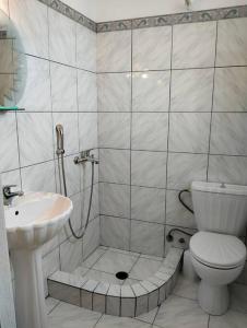Skhoínos的住宿－Maisonette magnolia，带淋浴、卫生间和盥洗盆的浴室
