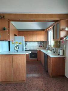 Skhoínos的住宿－Maisonette magnolia，厨房配有木制橱柜和白色冰箱。