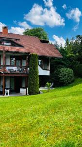 ein Haus mit grünem Rasen davor in der Unterkunft Michels Apartment in Titisee-Neustadt