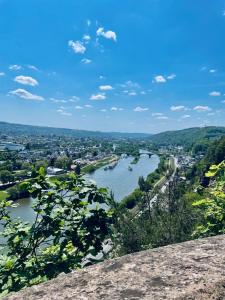 uma vista para um rio a partir de uma colina em Ferienwohnung Berg&Tal - Naturnah em Trier