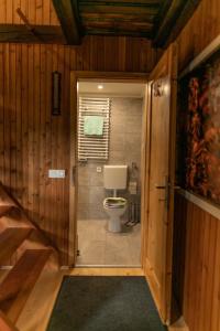 a bathroom with a toilet in a room with wooden walls at VILA HELENA in Velenje