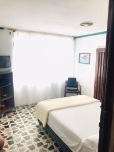 1 dormitorio con 1 cama, TV y silla en Hostal la 18, en Pereira