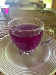 Bebidas en Web of Life Resort Wasgamuwa