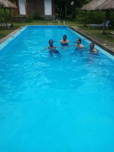 La alberca dentro o cerca de Web of Life Resort Wasgamuwa