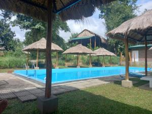 una piscina con sombrillas y un complejo en Web of Life Resort Wasgamuwa, en Talakolawela