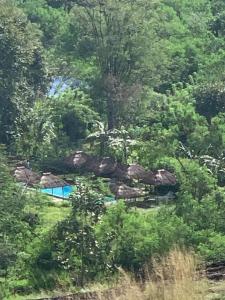una piscina en medio de un bosque en Web of Life Resort Wasgamuwa, en Talakolawela