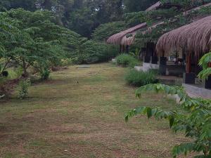 Un jardín fuera de Web of Life Resort Wasgamuwa
