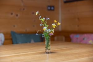 Fotografie z fotogalerie ubytování Almhaus Gensbach v destinaci Innerkrems