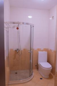 ein Bad mit einer Dusche und einem WC in der Unterkunft Апартамент Езерото in Trjawna