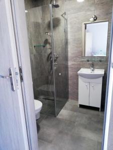 a bathroom with a shower and a toilet and a sink at Lazurowy Zakątek in Dąbki