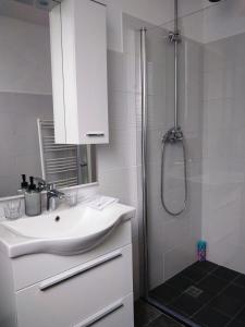 La salle de bains blanche est pourvue d'un lavabo et d'une douche. dans l'établissement DAAL, à Roč