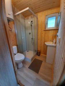 een badkamer met een douche, een toilet en een wastafel bij Słoneczny Zakątek w Gąskach in Gąski