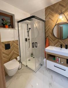 een badkamer met een douche, een toilet en een wastafel bij Mazurska Sarenka in Wiartel