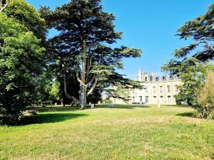 a large tree in front of a building at Le Sea Breeze La Rochelle 44m2 - 2 chambres - 6 prs - Piscine in Lagord