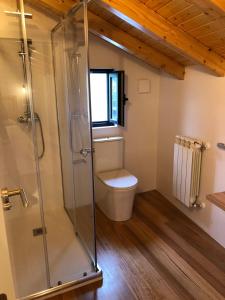 a bathroom with a toilet and a glass shower at Apartamentos El Arroyo in Armal