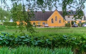 een geel huis met een veld met planten ervoor bij Modern vacation Home - Close to sea and nature. in Hejls