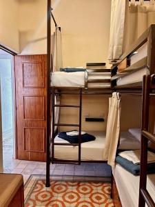 a group of bunk beds in a room at Hotel & Hostal Boutique Casa Garza in Mérida