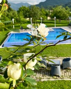 a bush with white roses in front of a swimming pool at Beyaz Köşk Geyve in Geyve