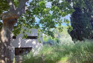 Billede fra billedgalleriet på Maison Alice&Eugène i Montpellier + 12 billeder