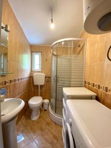 a bathroom with a shower and a toilet and a sink at Village house Iva in Virpazar