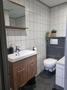 La salle de bains est pourvue d'un lavabo et de toilettes. dans l'établissement De vier jaargetijden chalet Jungle, à Voorthuizen