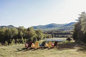 a group of chairs sitting in a field next to a lake at Lumen Nature Retreat in Woodstock