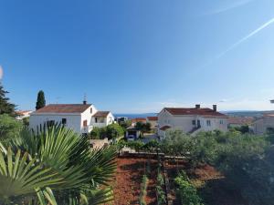 クルクにあるApartment with Terace and sea view Maricaの庭のある家の空中写真