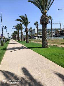 a sidewalk lined with palm trees in a park at appartement julia au centre ville agadir dans résidence borj dalat in Agadir