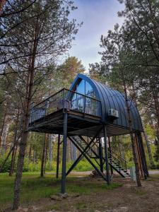 a tree house in the middle of a forest at Jungle SPA bungalows in Žocenes Ciems