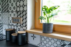 a plant sitting on a window sill in a kitchen at A Nest Under the Karawanks in Žirovnica