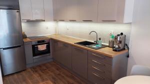 Kuchyň nebo kuchyňský kout v ubytování Apartament przy Łąkach - Zakodomki (Kraków)