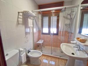 a bathroom with a shower and a toilet and a sink at Hotel Liñares in Poio